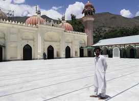 chitral musque
