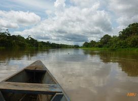 Awkipuma Spiritual Healing Center - Ayahuasca Retreat