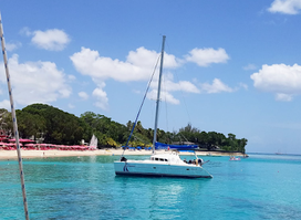 Elegance Catamaran