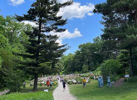 Arboretum Nature Area