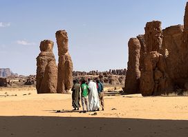 Tchad Evasion Travel Agency