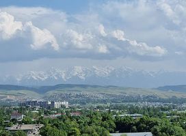 Viewpoint of Osh