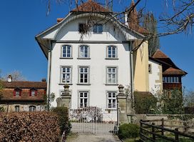 Wittigkofen Castle
