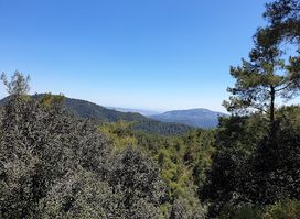 Cedar Valley