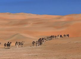 Rub Alkhali Desert Tourism LLC
