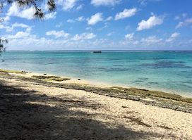 Fruits of Rarotonga