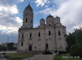 Karađorđev dud