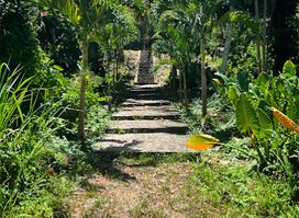 Jack's Walk Trail