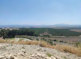 Megiddo National Park