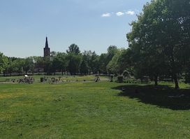 Park Antoniuk
