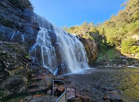 MacKenzie Falls Lookout