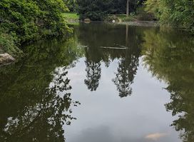 Park Hamelin Oberthur