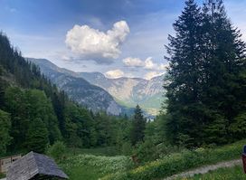 Alte Schmiede