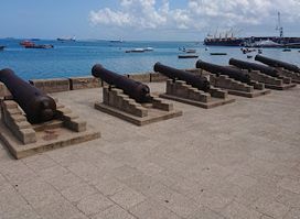 Zanzibar Cannons
