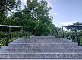 Rue Peel Steps