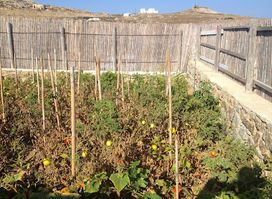 Mykonian Spiti & Farm, House & Travel Activities - Events, Mykonos, Greece