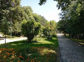 Parku i qytetit