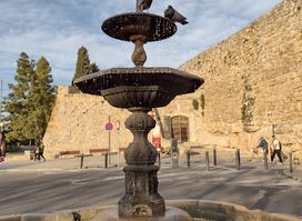 Portal del Roser