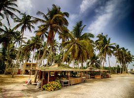 Coconut And Banana Shops