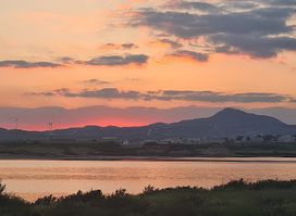 Salt lake_ flamingo route