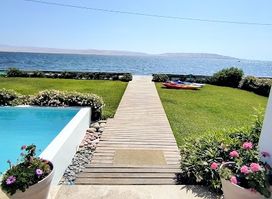 Atoq Paracas Reserva