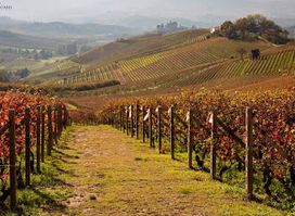 Le Langhe