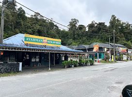 AyahMan Strawberi Cameron Highlands