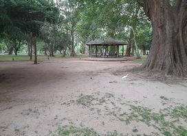 Summer Hut