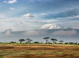 BURIGI CHATO SAFARIS CO LTD - Tanzania Serengeti Safaris | Kilimanjaro Climbing (Hiking) & Zanzibar Tour Operators