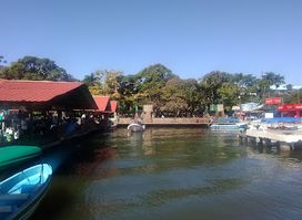 Rasta Mesa