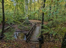 Turmhügelburg Cäcilieninsel