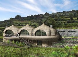 Rwanda Eco Company and Safaris