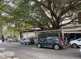 A Figueira Rubaiyat