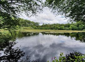 Montagne de Reims Regional Natural Park