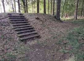 Troldborg Ring