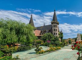 Castle of Ravadinovo