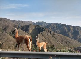 Villavicencio Natural Reserve