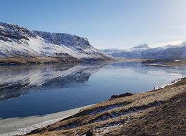 Álftafjöður