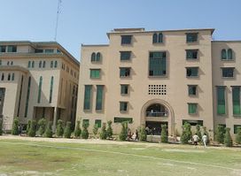 UMT Greens