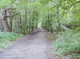 GR 5A Wandelboom