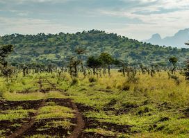 Pian Upe Game Reserve