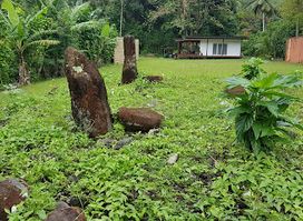 Maori Stonehenge