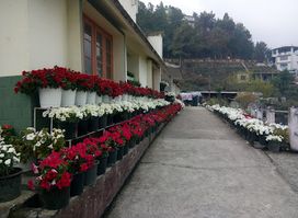 Chakhesang Baptist Church