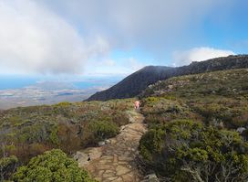 Parking Mount Wellington