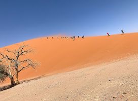 Dune 45 Sossusvlei