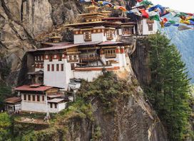 Bhutan Swallowtail Travels