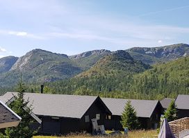 Lifjelltunet