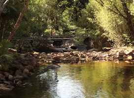 Domaine de la Cascade | Plantation Lansargues