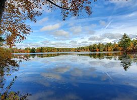 Tillinghast Pond Management Area