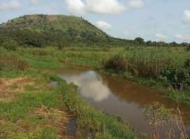 Logone River